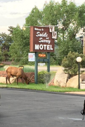 Saddle & Surrey Motel